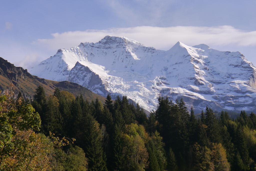 Chalet Acheregg Βένγκεν Εξωτερικό φωτογραφία