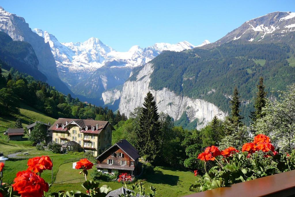Chalet Acheregg Βένγκεν Εξωτερικό φωτογραφία