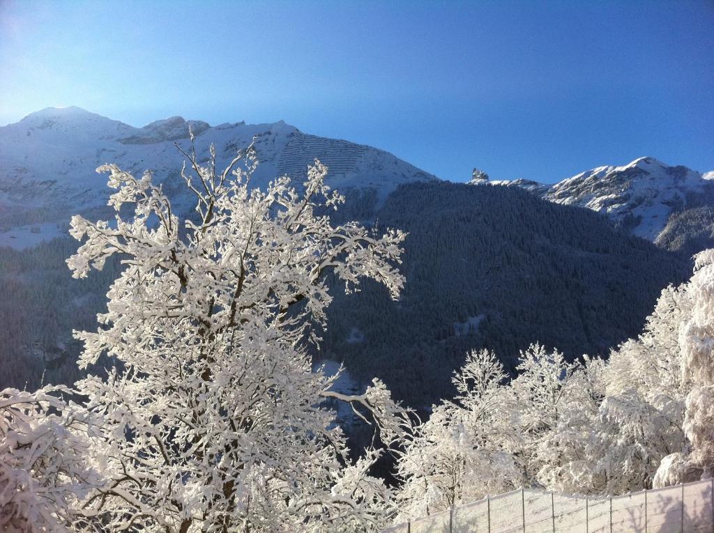 Chalet Acheregg Βένγκεν Εξωτερικό φωτογραφία